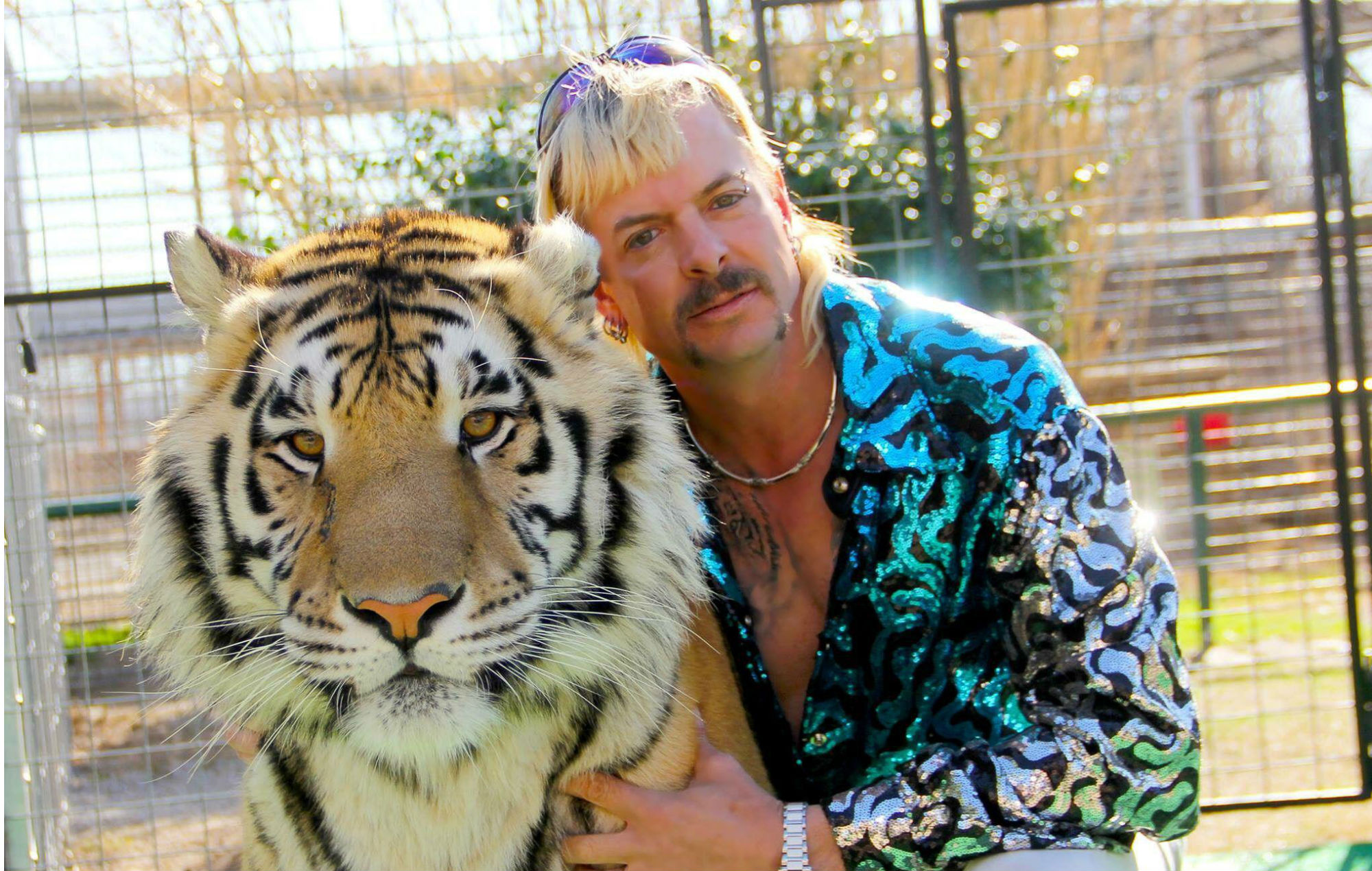 joeexotic-tigerking-2000x1270-1.jpg